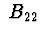 $\ B_{22}\ $
