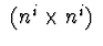 $\ (n^{i}\times n^{i})\ $