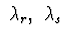 $\ \lambda_{r},\ \lambda _{s}\ $