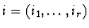 $i=(i_1,\ldots,i_r)$