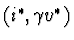 $(i^*, \gamma v^*)$