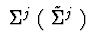 $\ \Sigma^{j}\ (\ \tilde{\Sigma}^{j}\ )\ $