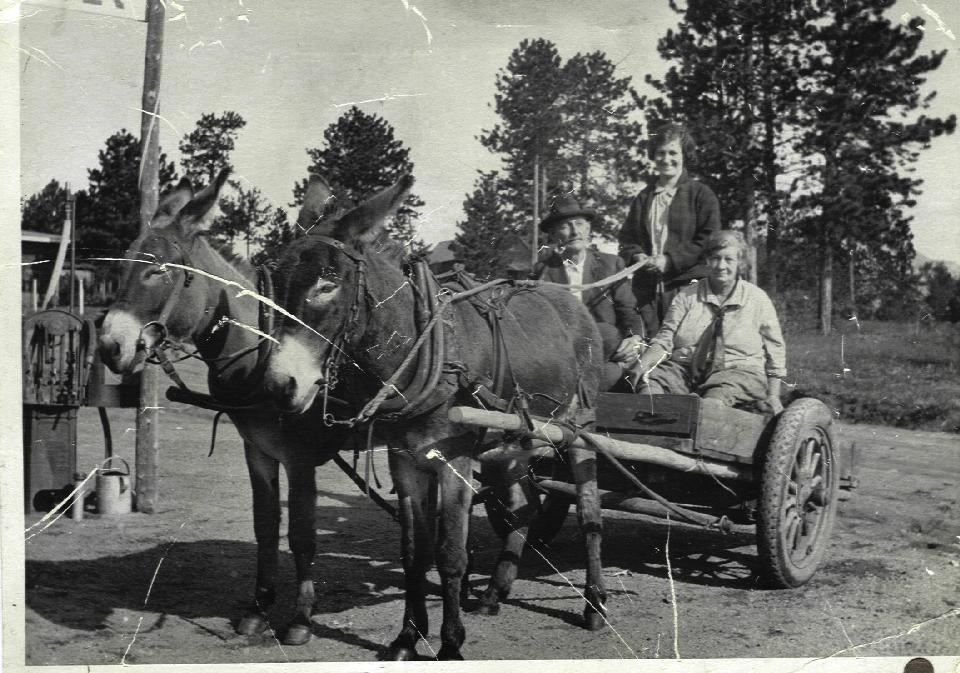 Moffitt genealogy mary ester ford #4